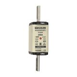 Fuse-link NH2 gG 500VAC 250A isolated tags Double indicator