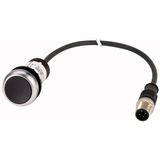 Pushbutton, Flat, momentary, 1 NC, Cable (black) with M12A plug, 4 pole, 1 m, black, Blank, Bezel: titanium