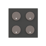 SR-4-N2AN Cover plate