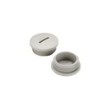 Sealing plugs (plastic), PG 48, 12 mm