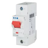 Miniature circuit breaker (MCB), 100A, 1p, D-Char, AC