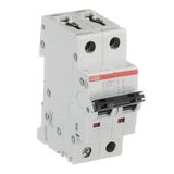 ST202M-K20 Miniature Circuit Breaker - 2P - K - 20 A