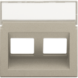 Central plate data 2x RJ oblique output, champagne coated