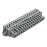 1-conductor female connector CAGE CLAMP® 2.5 mm² gray