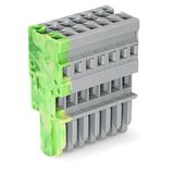 1-conductor female connector CAGE CLAMP® 4 mm² gray, green-yellow