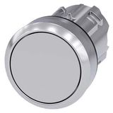 Pushbutton, 22 mm, round, metal, shiny, gray, pushbutton, flat momentary contact type, with laser labeling, upper case