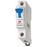 Miniature Circuit Breaker (MCB) DC-C32/1, 10kA