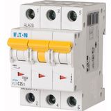 Miniature circuit breaker (MCB), 25 A, 3p, characteristic: C