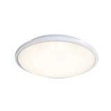 Eclipse MultiLED CCT DALI DALI-Emergency White