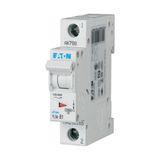 PLSM-D1-MW Eaton Moeller series xPole - PLS6/M MCB