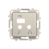 8568.3 AI Cover plate for I/O + USB + Bluetooth module - Stainless Steel USB Central cover plate Stainless steel - Sky Niessen