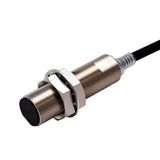 Proximity sensor, inductive, nickel-brass, long body, M18, shielded, 1 E2EN1629F