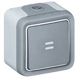 Switch Plexo IP 55 - 2-way + indicator - 10 AX - 250 V~ - surface mounting -grey