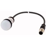 Indicator light, Flat, Cable (black) with M12A plug, 4 pole, 1 m, Lens white, LED white, 24 V AC/DC