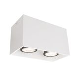 2/L Ceiling Light White Dice