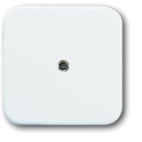 2536-214 CoverPlates (partly incl. Insert) carat® Alpine white