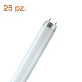 Fluorescent Tube 10W/25 T8 UC