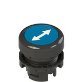 Blue flushed push button with marking E2 1PU2R621L170