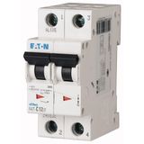 Miniature circuit breaker (MCB), 16 A, 2p, characteristic: C