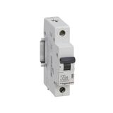 RX³ 4500A 1P 25A C curve circuit breaker