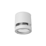 Ceiling fixture IP54 Selene GU10 35W Grey