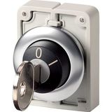 Key-operated actuator, Flat Front, maintained, 2 positions, MS10, Key withdrawable: 0, Bezel: stainless steel