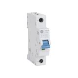 1492-D Miniature Circuit Breakers, Trip Curve C, 1-Pole, 6 A