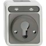 Roller shutter button for locking cylinder, light gray, AQUASTAR