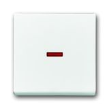 1789-84-500 CoverPlates (partly incl. Insert) future®, Busch-axcent®, solo®; carat® Studio white