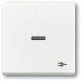 1789 ST-84 CoverPlates (partly incl. Insert) future®, Busch-axcent®, solo®; carat® Studio white
