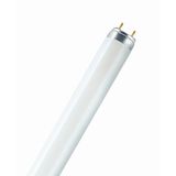 Fluorescent Bulb 36W/827 120cm T8 0001478 Sylvania