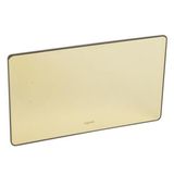 Synergy Sleek 2 gang blanking plate Glossy gold