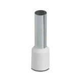 Ferrule