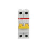 SV202-C10 Miniature Circuit Breaker - 2P - C - 10 A