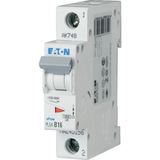 PLS4-B16-MW Eaton Moeller series xPole - PLS4 MCB