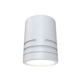 Reef CCT Fixed Surface Downlight White