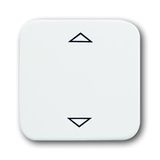 6430-214-102-500 CoverPlates (partly incl. Insert) carat® Alpine white