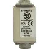 Fuse-link, high speed, 100 A, AC 690 V, size 00, 30 x 62 x 64 mm, aR, IEC, single indicator