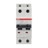 ST202M-K15 Miniature Circuit Breaker - 2P - K - 15 A