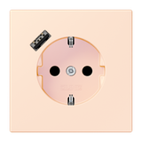 SCHUKO socket with USB charger LC32082 LC1520-18A226