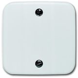 1796-214 CoverPlates (partly incl. Insert) carat® Alpine white
