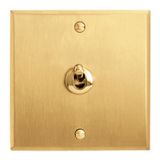 Art d'Arnould universe Two-way memory or lever switch 10A - brushed gold