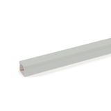 LE 3030 lgr  Channel LE, for cable storage, 2000x30x30, light gray Polyvinyl chloride