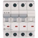 Miniature circuit breaker (MCB), 40 A, 3p+N, characteristic: C