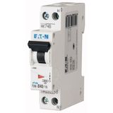 Miniature circuit breaker (MCB), 40 A, 1p+N, characteristic: B