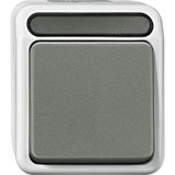 Button, closer 1-pole, light gray, AQUASTAR