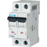 Miniature circuit breaker (MCB), 50 A, 2p, characteristic: B