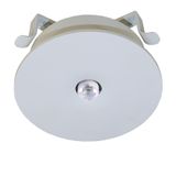 Emerg.lum.IL 1x3W ERT-LED8h 230V AC Wireless spot recessed