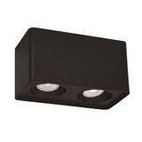 2/L Ceiling Light Black Arion