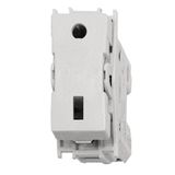 Switch insert 2-pole 16A